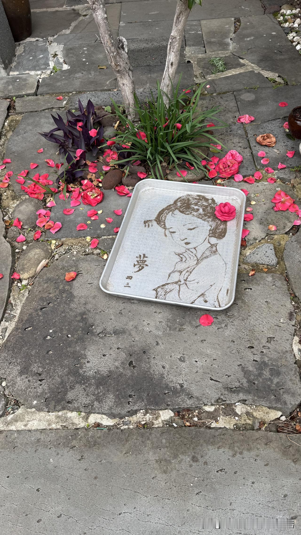 2026年4月4日，断食第三天，队友出现异常。中午她在门口挖了几株蒲公英，回来说