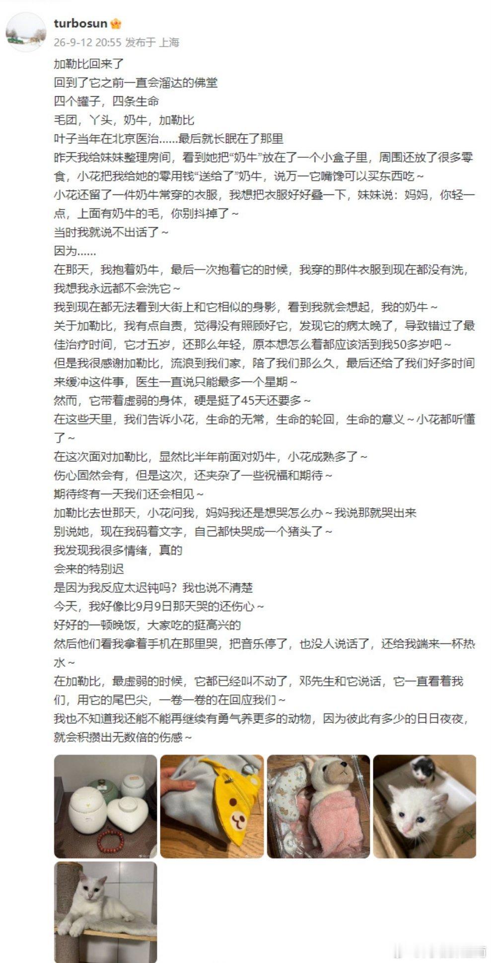 孙俪收养的流浪猫去世孙俪发文悼念离世的流浪猫，满心自责。江南微评 小家伙顽强撑过