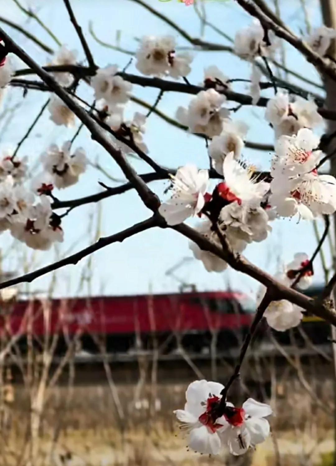 春暖花开，春和景明，踏春进行时……
对春天该做的事 对春天许个愿 生活美好心愿 