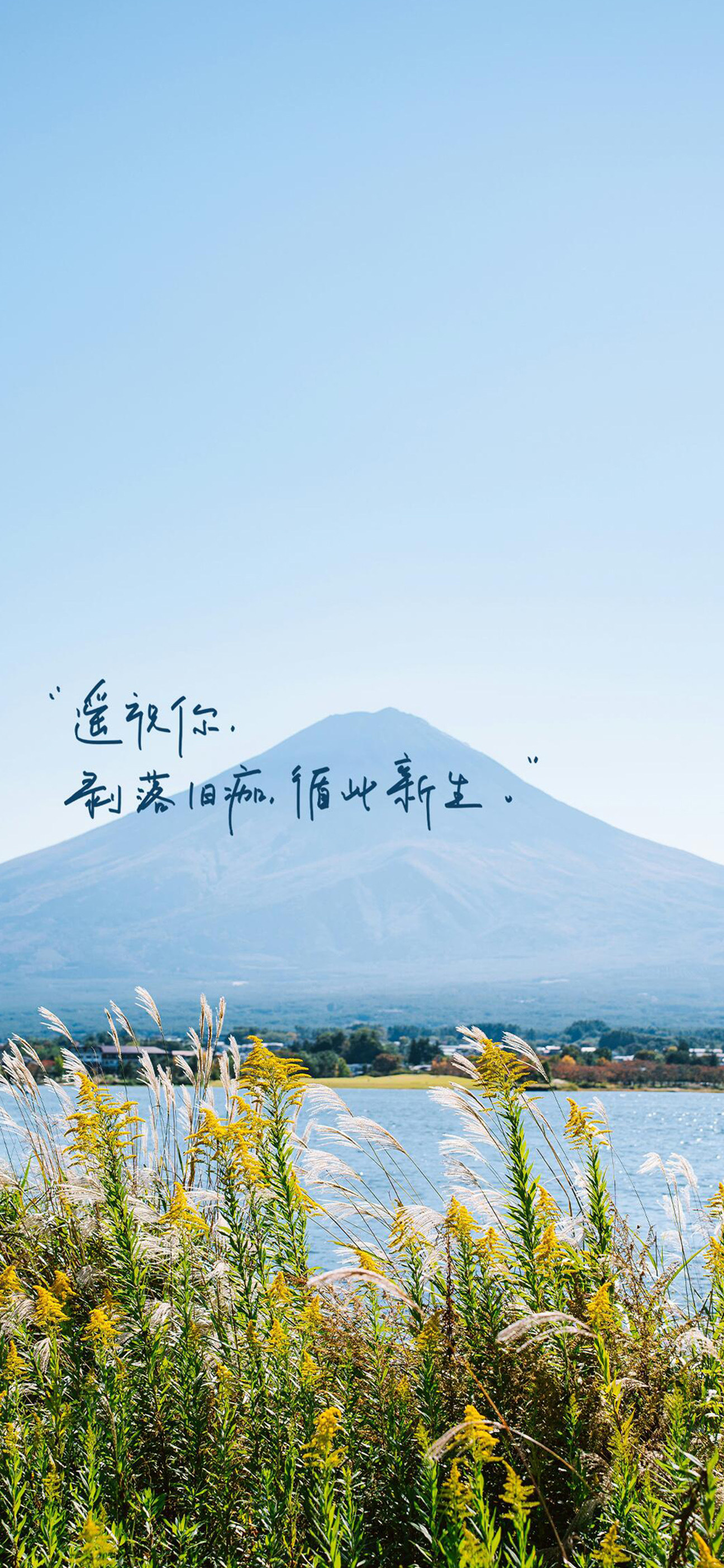 手机壁纸📱 