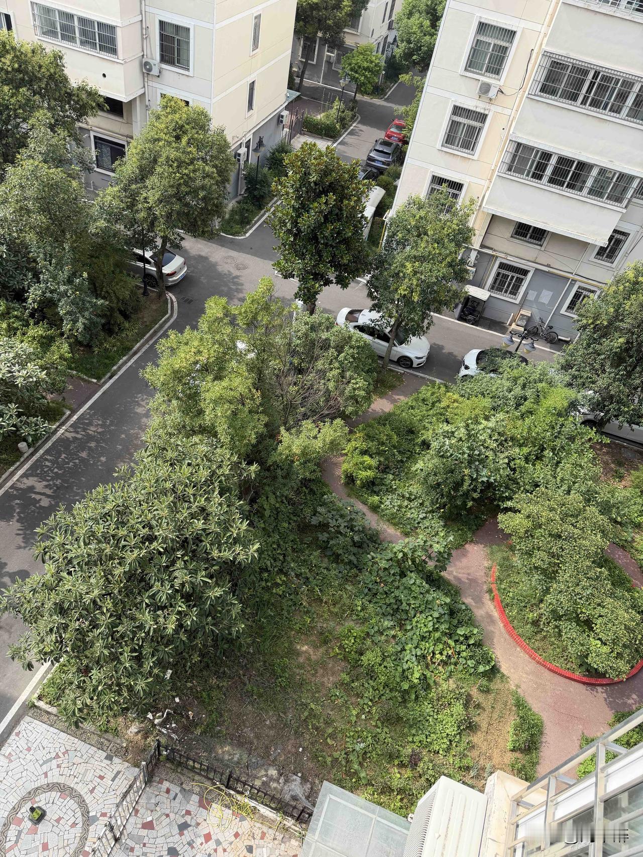 邻居王姐的女儿，长得十分漂亮，都34岁了，却死活不愿意谈婚论嫁。
谁要是给她介绍
