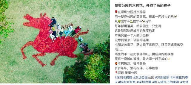 《深圳公园木棉花开成“马”！网友：见者“马”上发达，这才是城市最动人的浪漫》
 