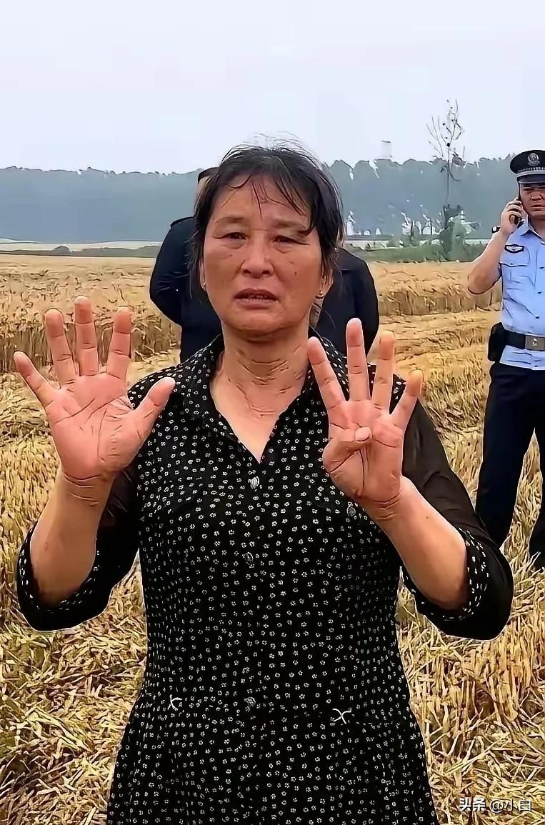 襄阳那场麦收风波，闹到最后，结局比过程更带劲。

闹到最后，大妈托侄子，给河南那