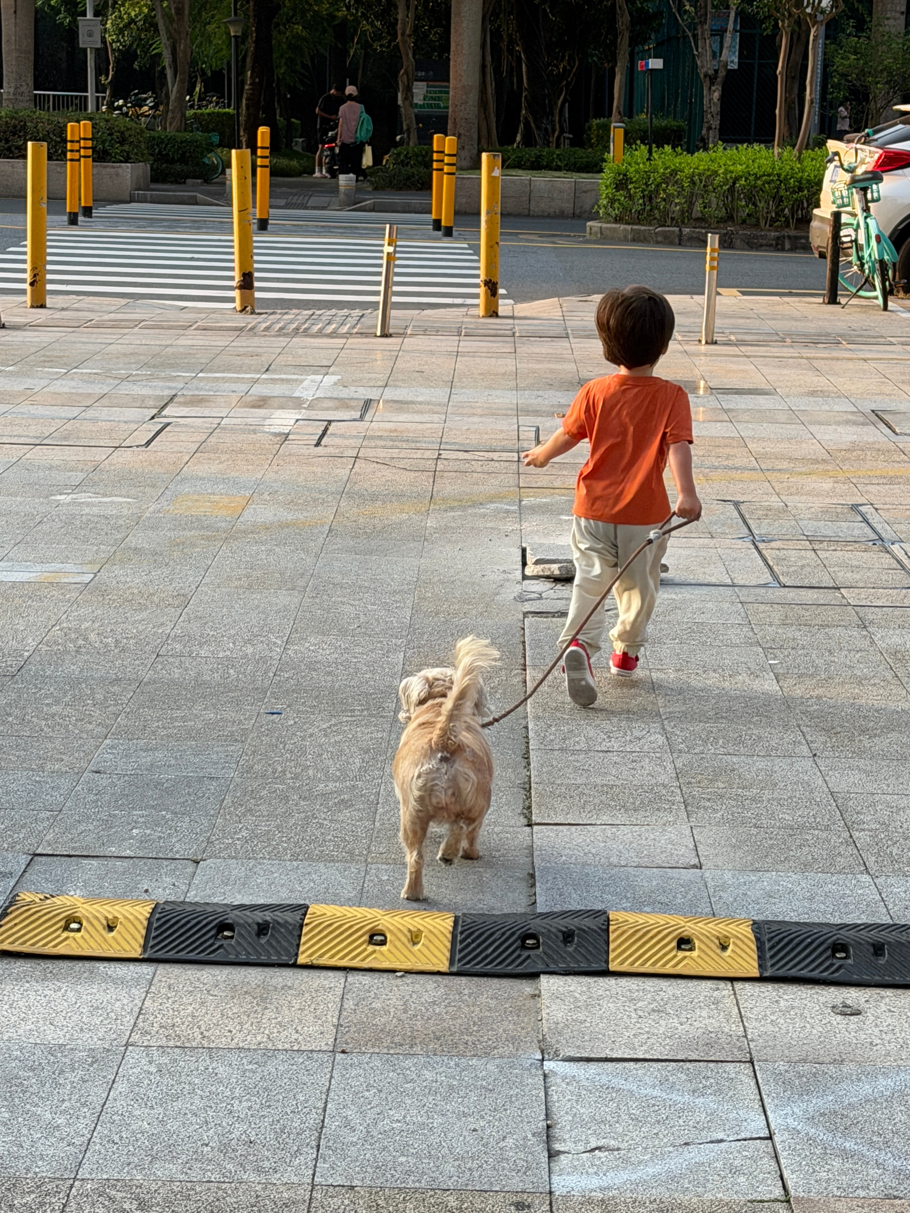 早安，阳光里如风的少女。 