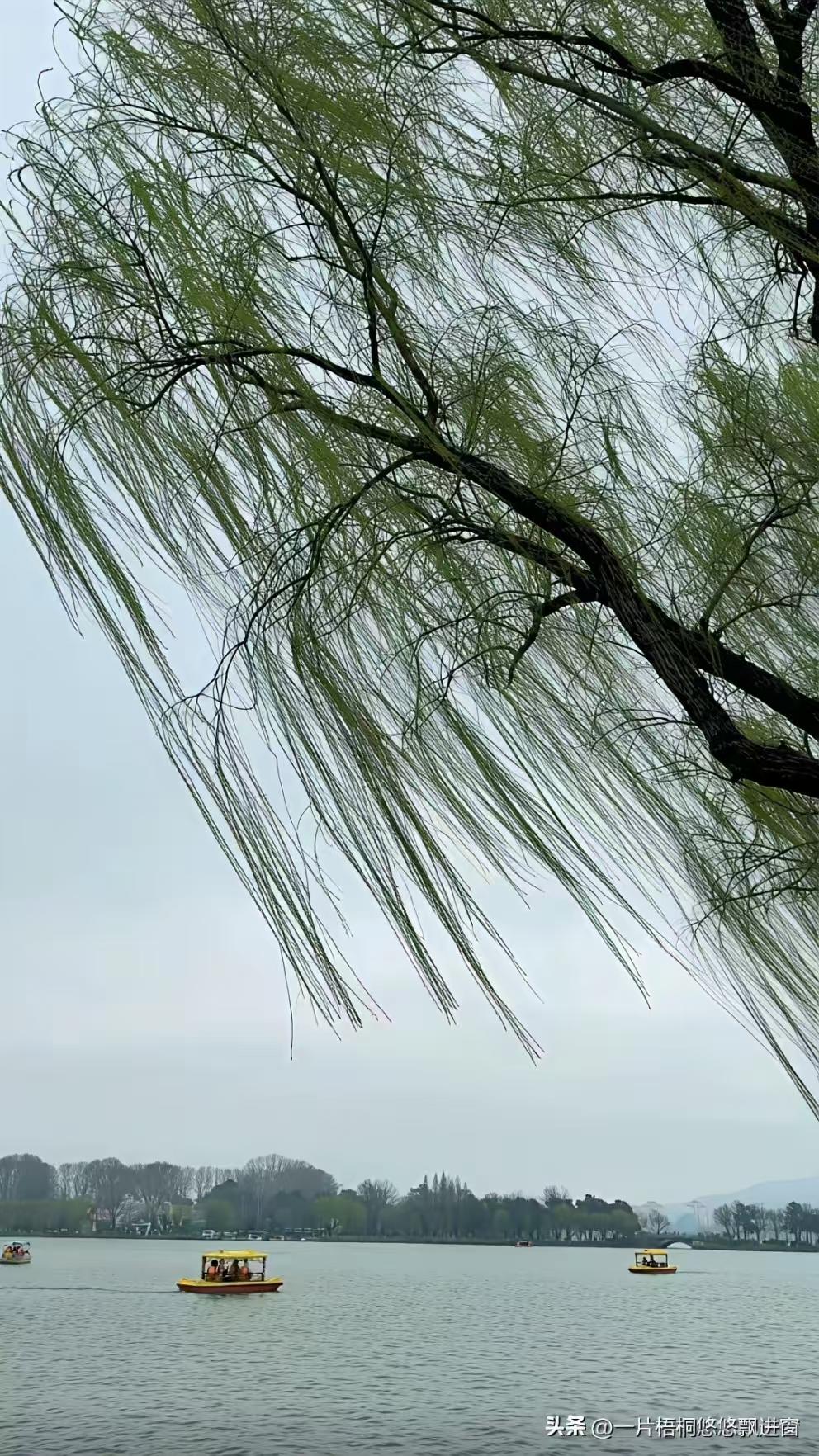 天净沙·春雨春景
柔丝细雨滋芜，
画桥烟柳平湖。
一叶轻舟影浮。
春声盈目，
入