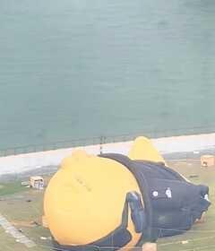 深圳暴风雨连奶龙也逃不掉
又到了每逢上下班就下雨的季节，连奶龙也逃不掉奶龙 深圳