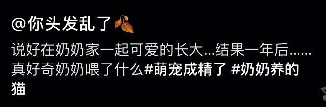 #猫狗成被富养的新家庭成员# 在奶奶家长大的猫，哈哈哈哈哈哈哈哈哈哈哈哈哈哈哈，