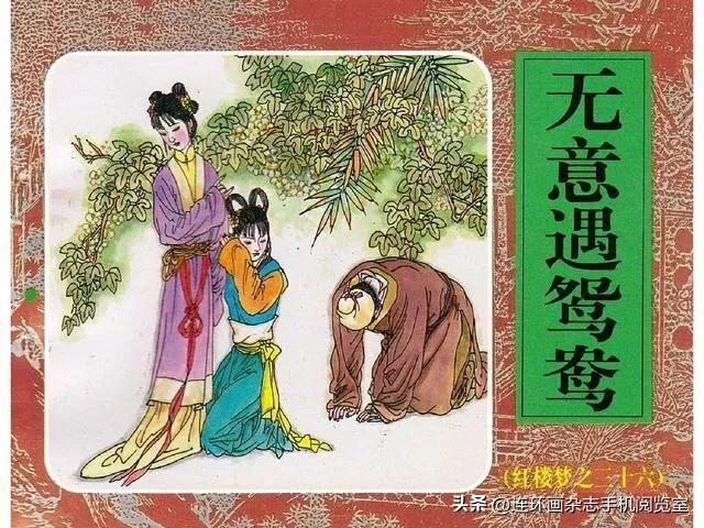 书架角落〔2026.5.16辑〕
