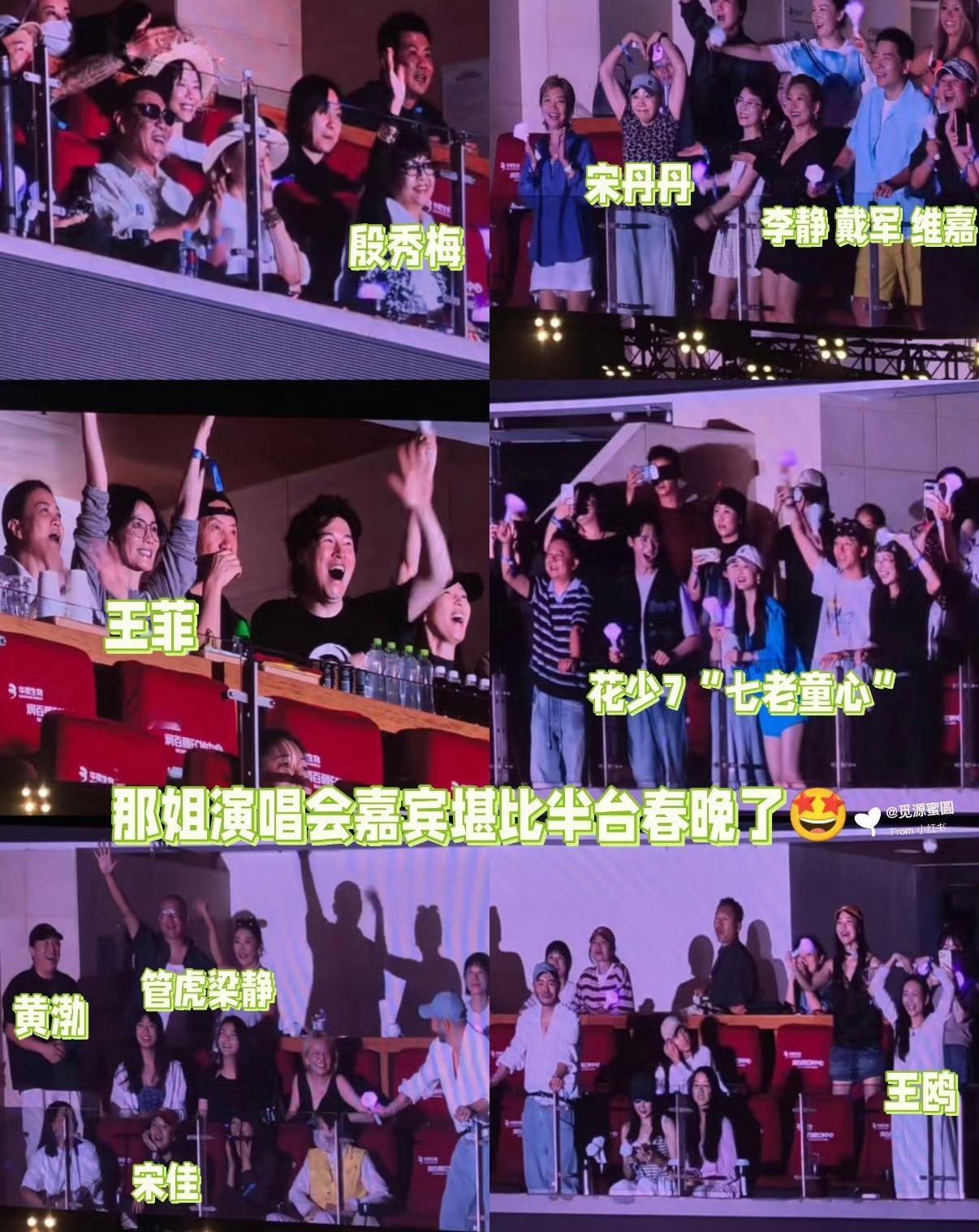 那英演唱会包厢堪比春晚英子这包厢阵容真的堪比春晚那英
