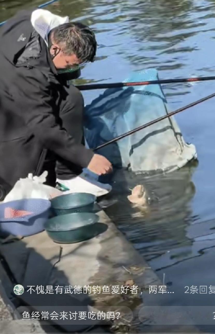 水边趣味一幕，鱼儿主动凑岸讨食，钓友态度尽显垂钓心态
 
“笑不活了”青岛一男子