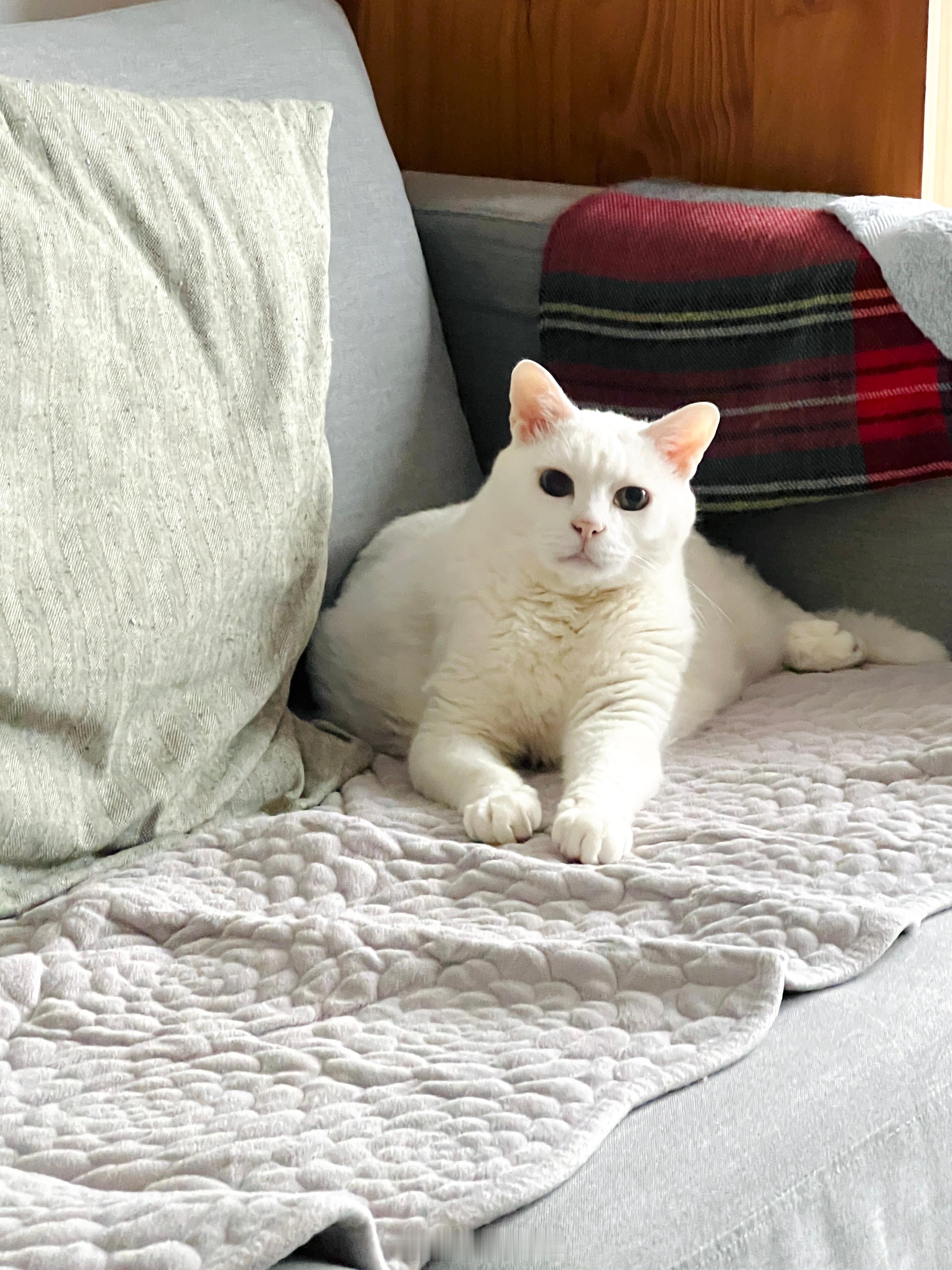 還是辣麻帥～ ​​​