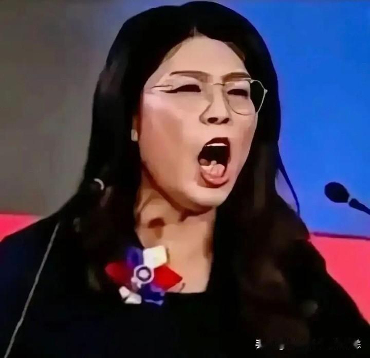“民进党不倒，台湾不会好！”国民党主席郑丽文公开喊话。

9月3日，郑丽文陪同新