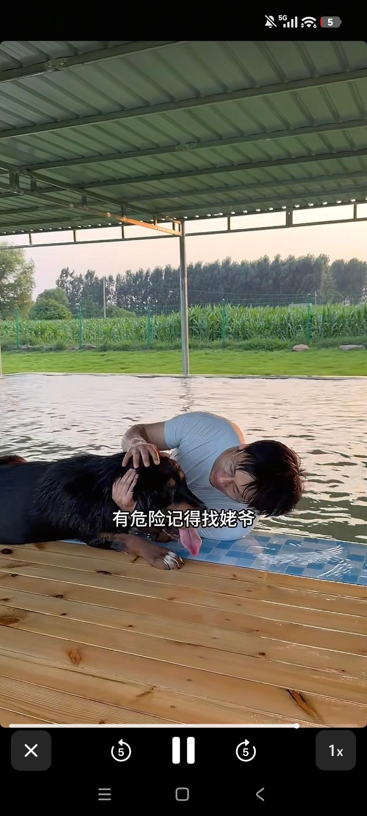 看完才发现这条视频居然有一个小时。没有复杂的剪辑，没有给狗狗拟人语气，没有网络热