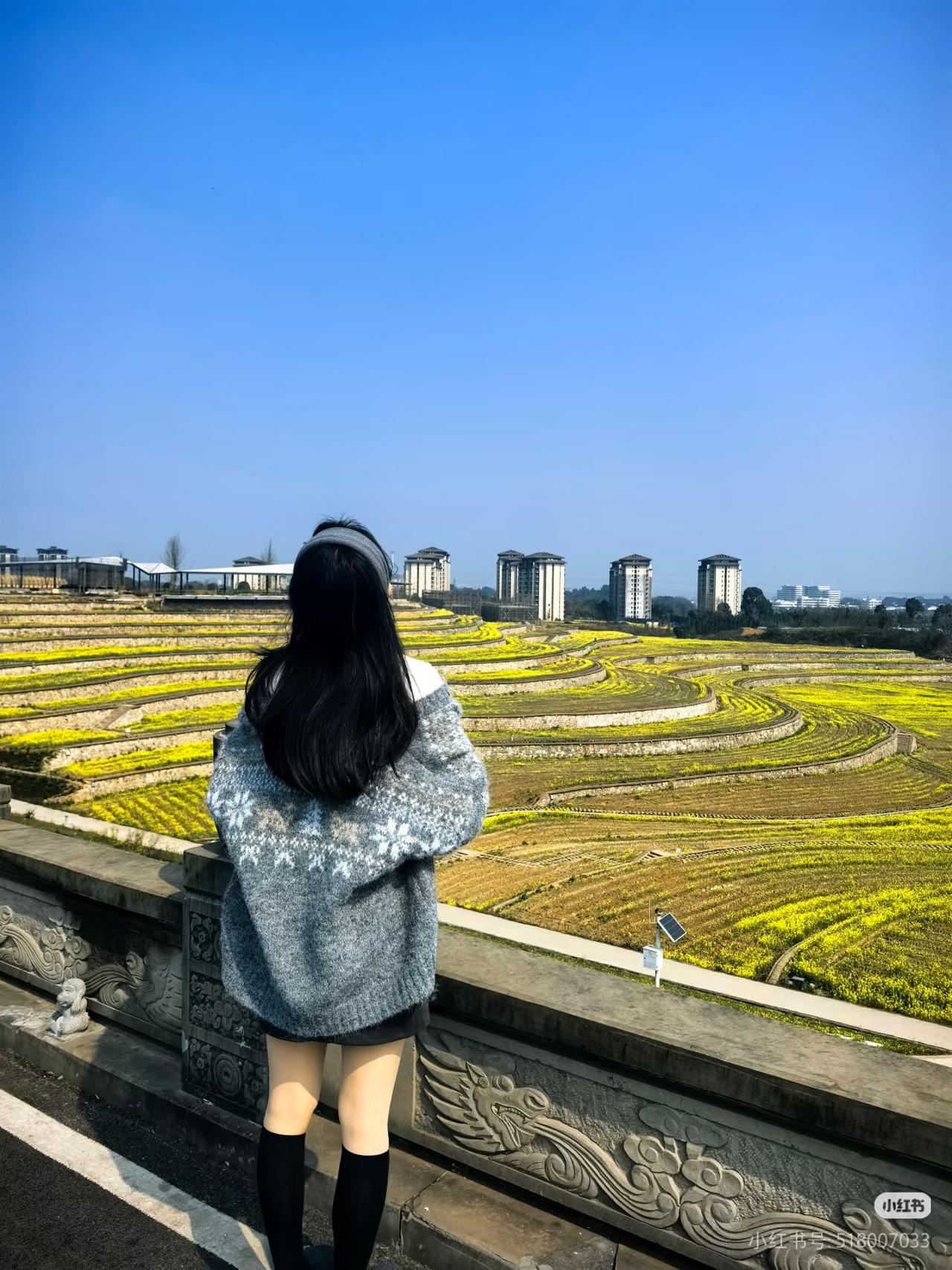 俯瞰花田，少女背影，春日暖阳