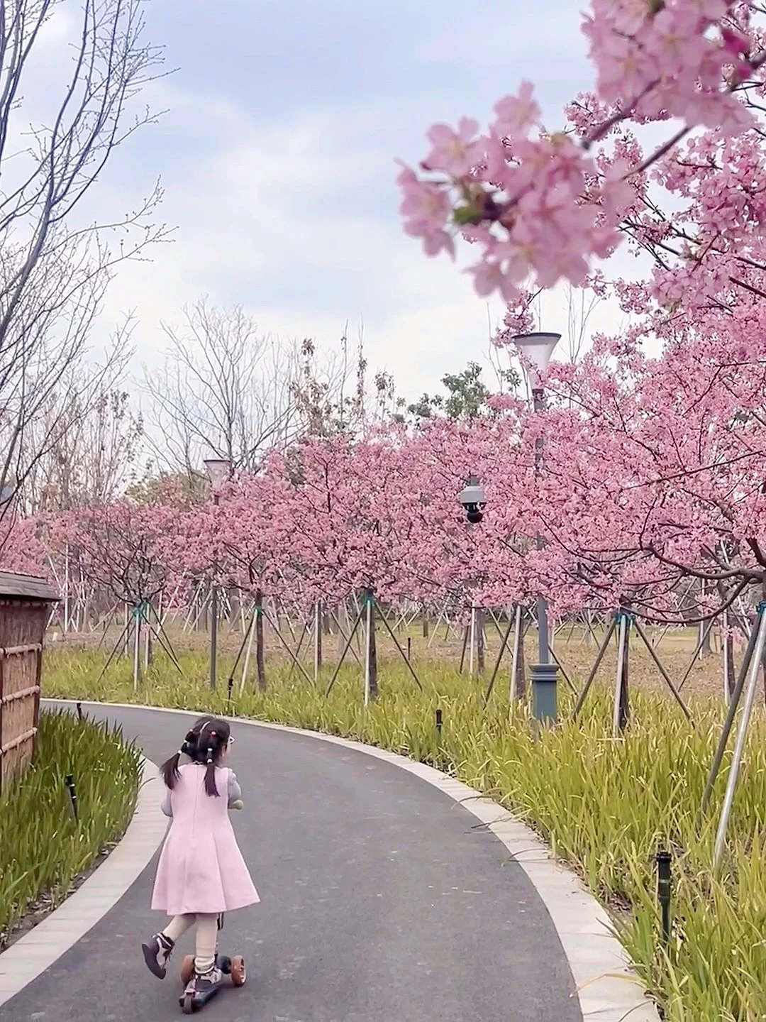 预测要火‼️魔都下一个顶流遛娃地