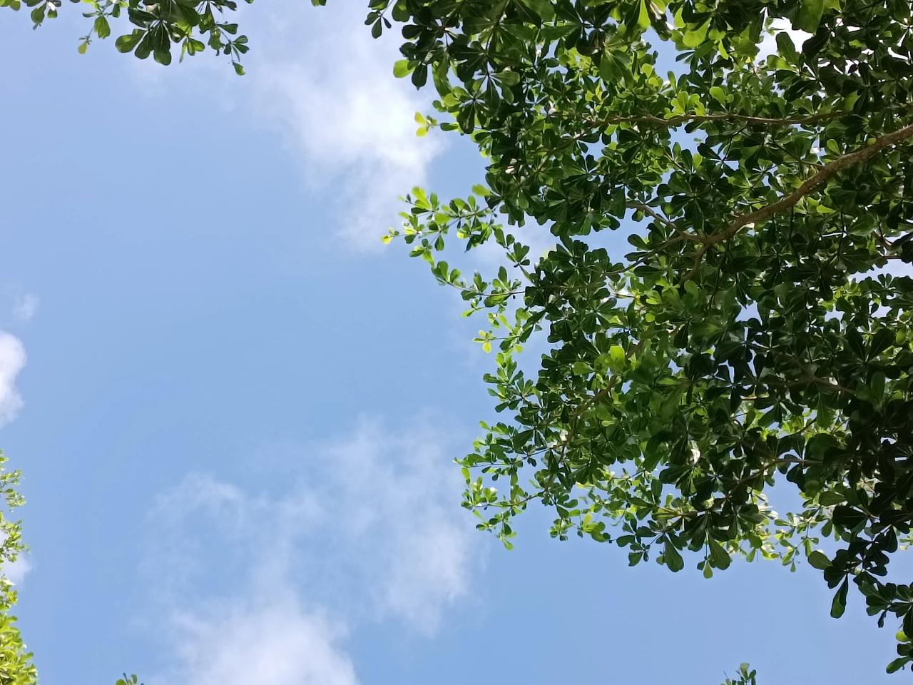今天下午天气晴朗
上午阵雨了，一时下雨一时晴
天气变化很快的
今天有点热热哒
下