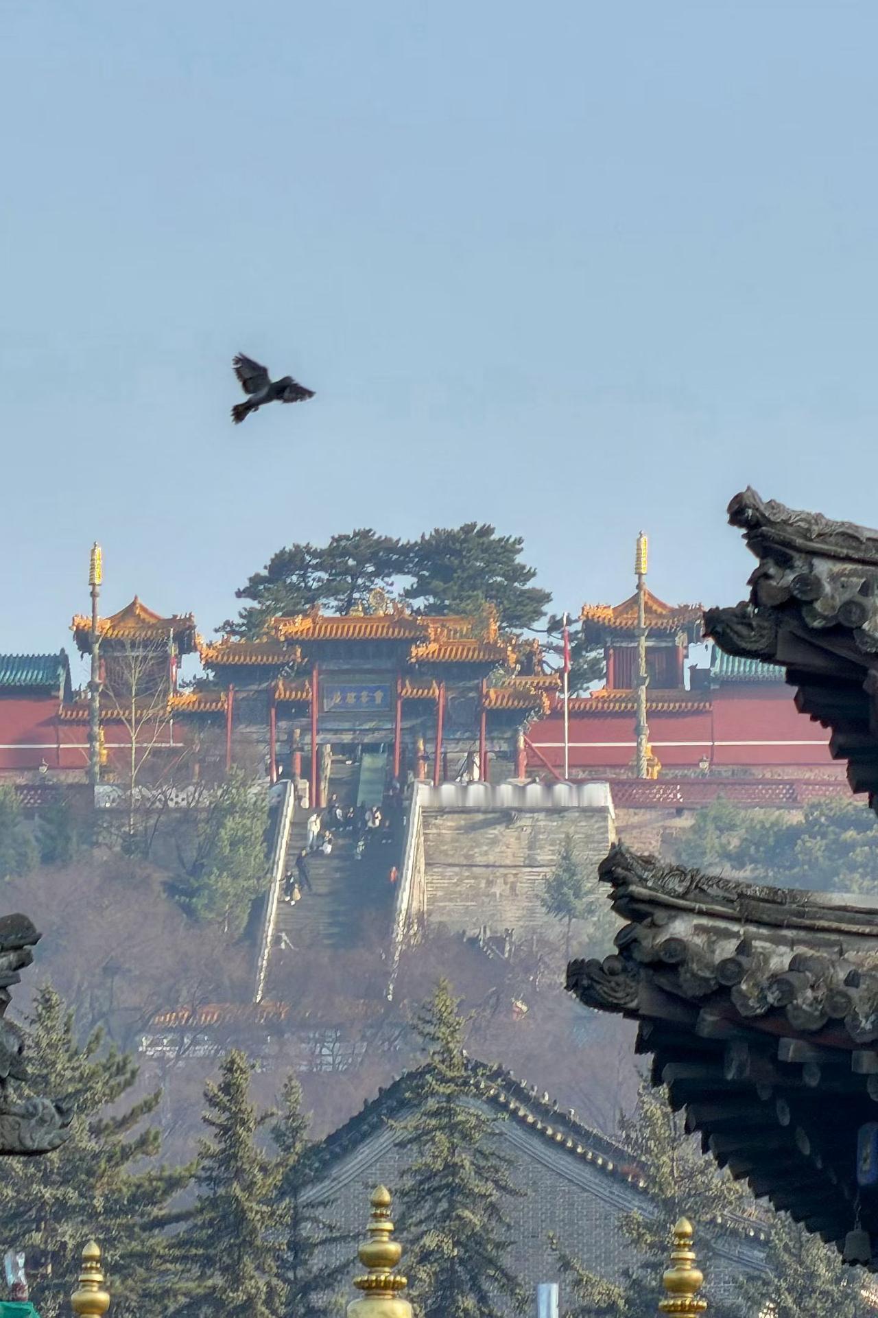 如何旺自己，先做好以下九点💐

一、凡事往好的方面想。
多内观，起心动念，及时