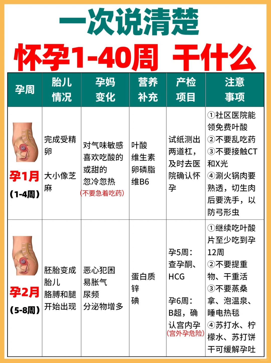 怀孕1-40周，要干什么？营养补充+注意事项