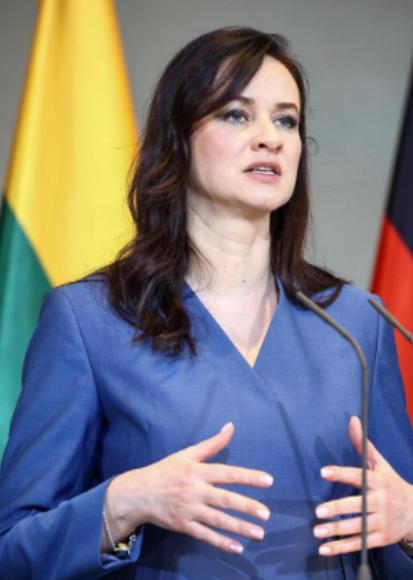 中国外交部发布声明！2月6日，针对3日立陶宛公开承认错误，外交部发言人林剑例行记