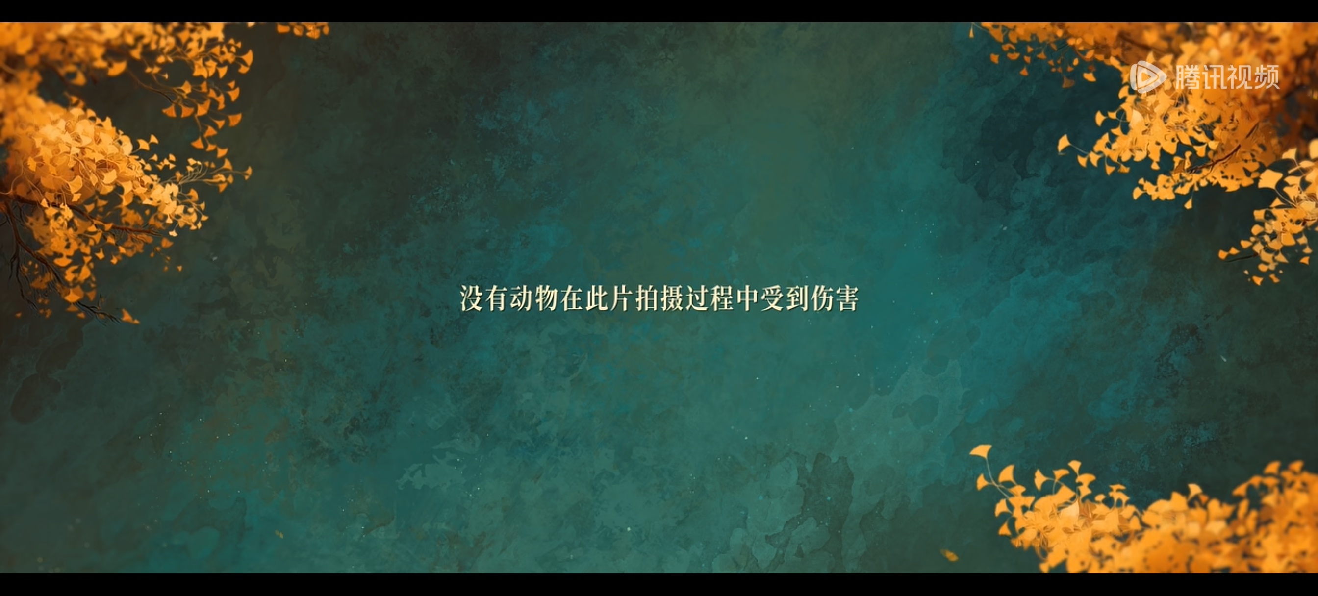 百花杀拍得不错啊！镜头质感和配乐都蛮有品味，也讲究。俺在这部剧get到了何与，万