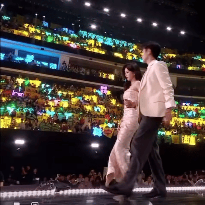 热心人士 白鹿 丞磊 丁禹兮 