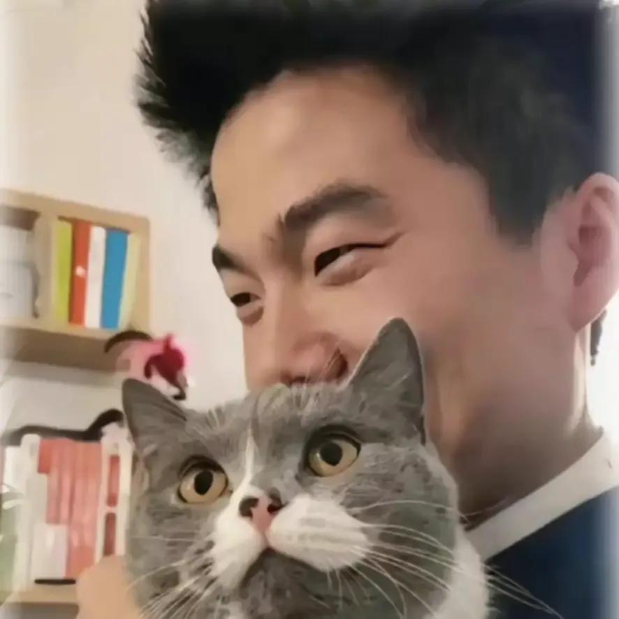 宠物店的老板说董宇辉家的猫是一个脑子有问题，智商也有问题，他还不服气。

他家的