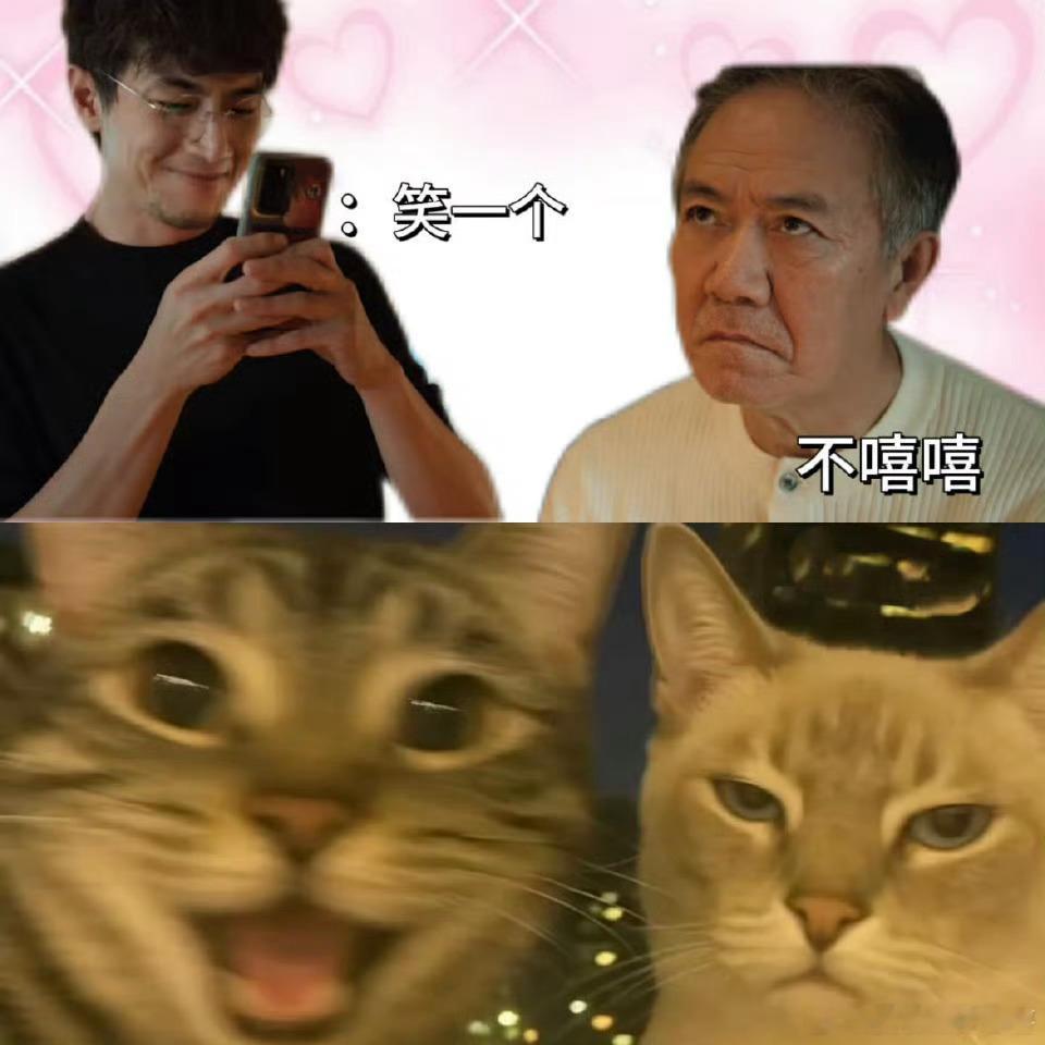 比养成系更权威的是养老系谁不想拥有马腾这样的朋友陪老林遛弯喝酒玩积木逛海边，马腾