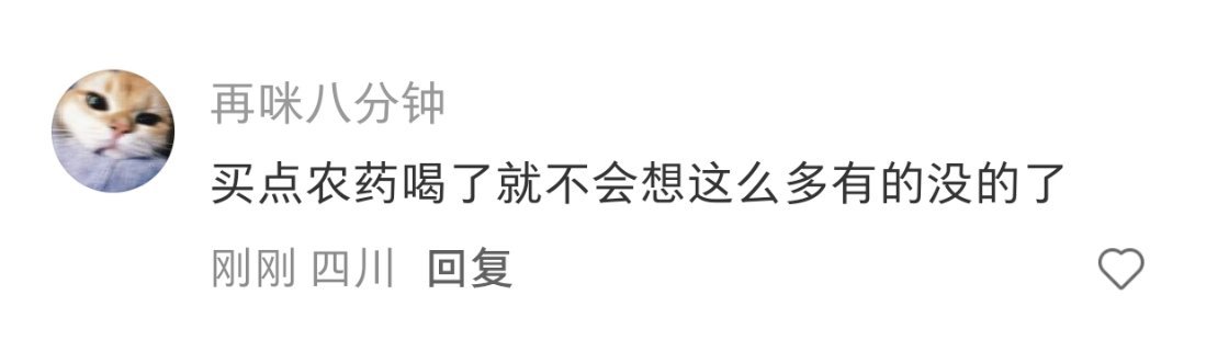 我上网的素质： 