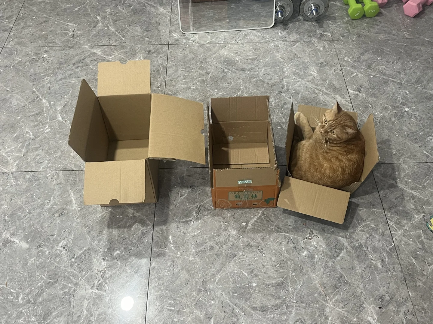 孩子要选这个！📦挤坏了也要选最小的