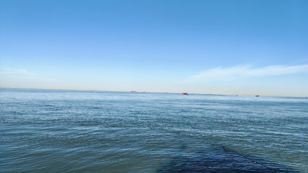 散步赏花时，碧海蓝天的美景简直绝了！上次我去海边散步，那湛蓝的天空像被水洗过一样