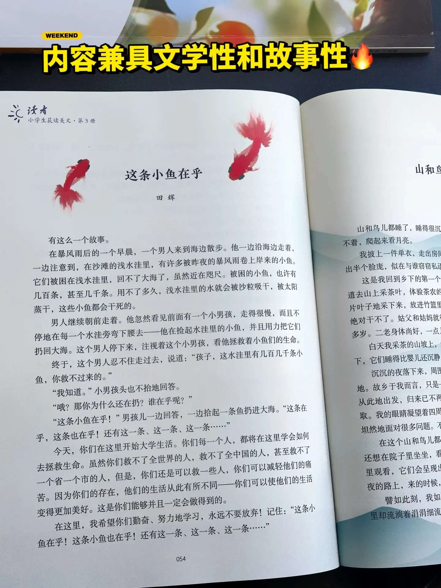 让孩子轻松爱上晨读🔥。不愧是老牌杂志读者，专门为小学生打造的晨读美文...