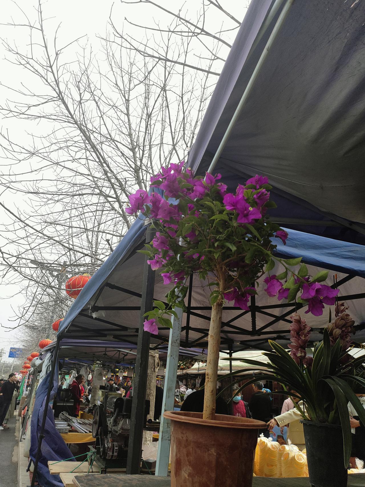 人到晚年，别瞎焦虑，活好当下比啥都强
 
人这一辈子，前半生忙忙碌碌，为了家庭、