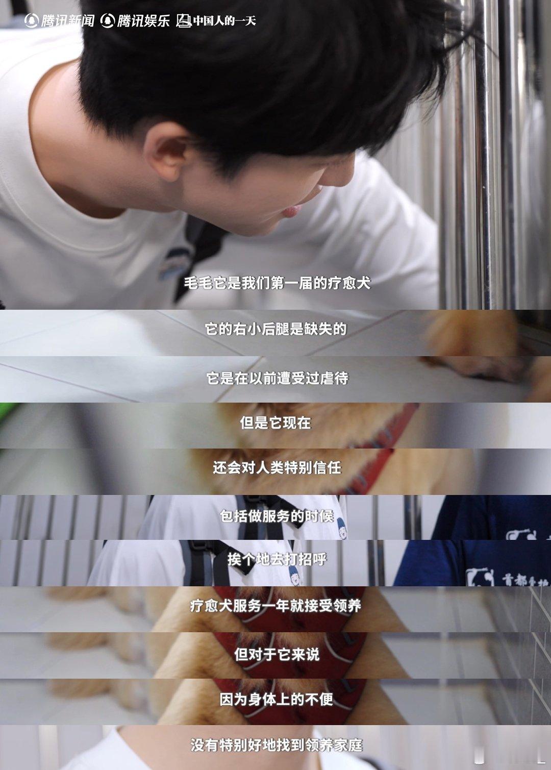  黄子弘凡探望截肢疗愈犬眼眶湿润 黄子弘凡吉他弹唱陪伴孤独症孩子 黄子弘凡探望截