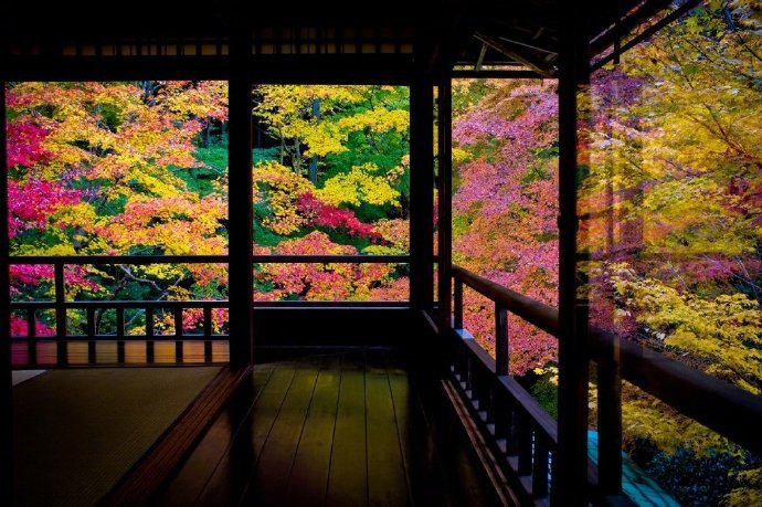 日本京都的四季流转 