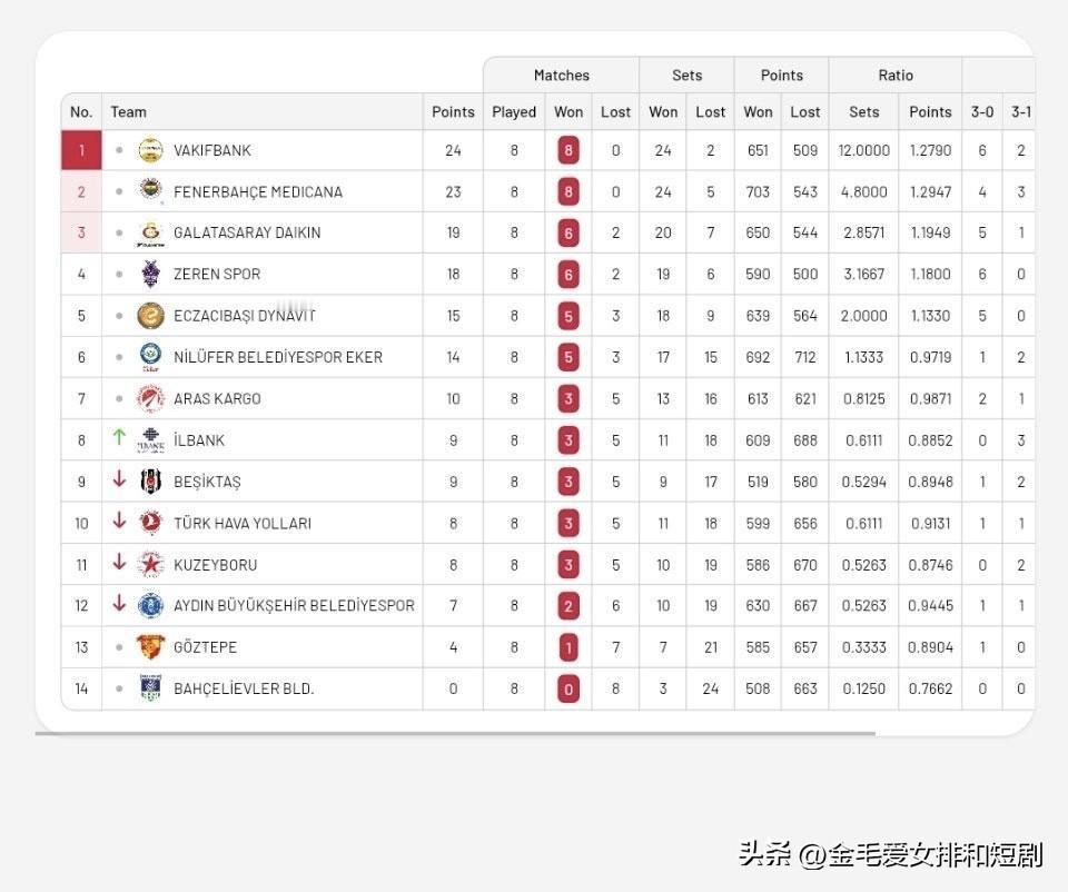 2025-2026赛季土耳其🇹🇷女排联赛常规赛第八轮结束，各队胜场积分排名如