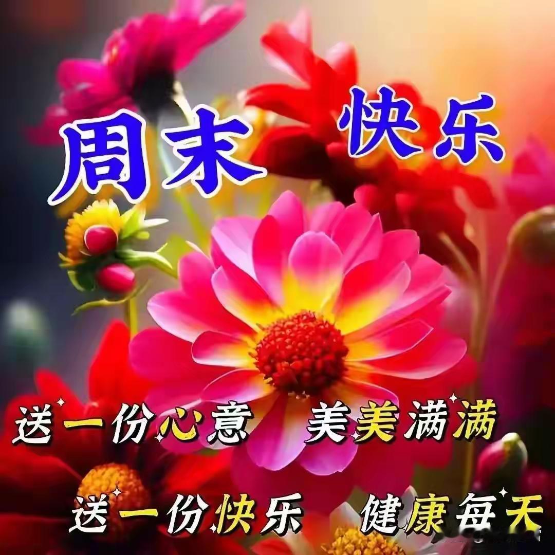 真正的爱，不是把对方绑在身边，而是给对方足够的空间，也是给自己从容的退路

[玫