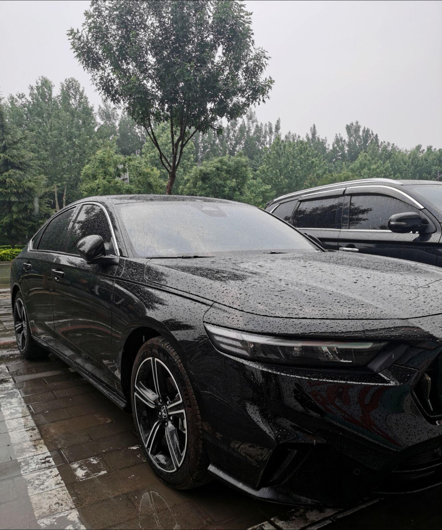 什么蓝的 红的 绿的 在雨中黑色才是最优雅的！