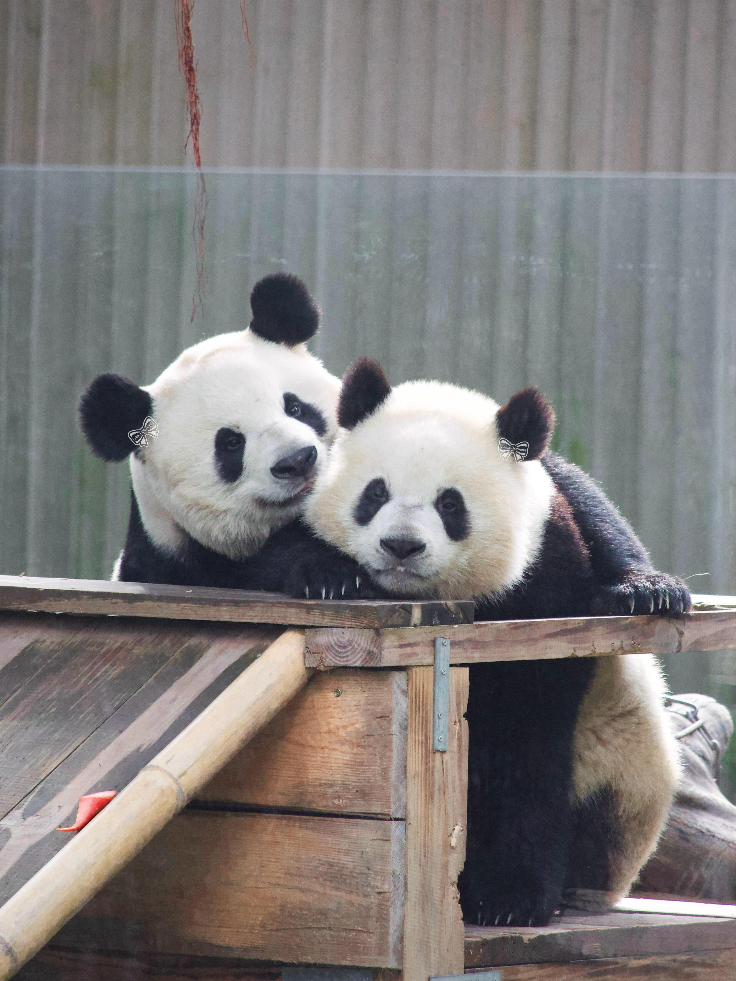 麻麻亲亲宝贝🤗🤗 