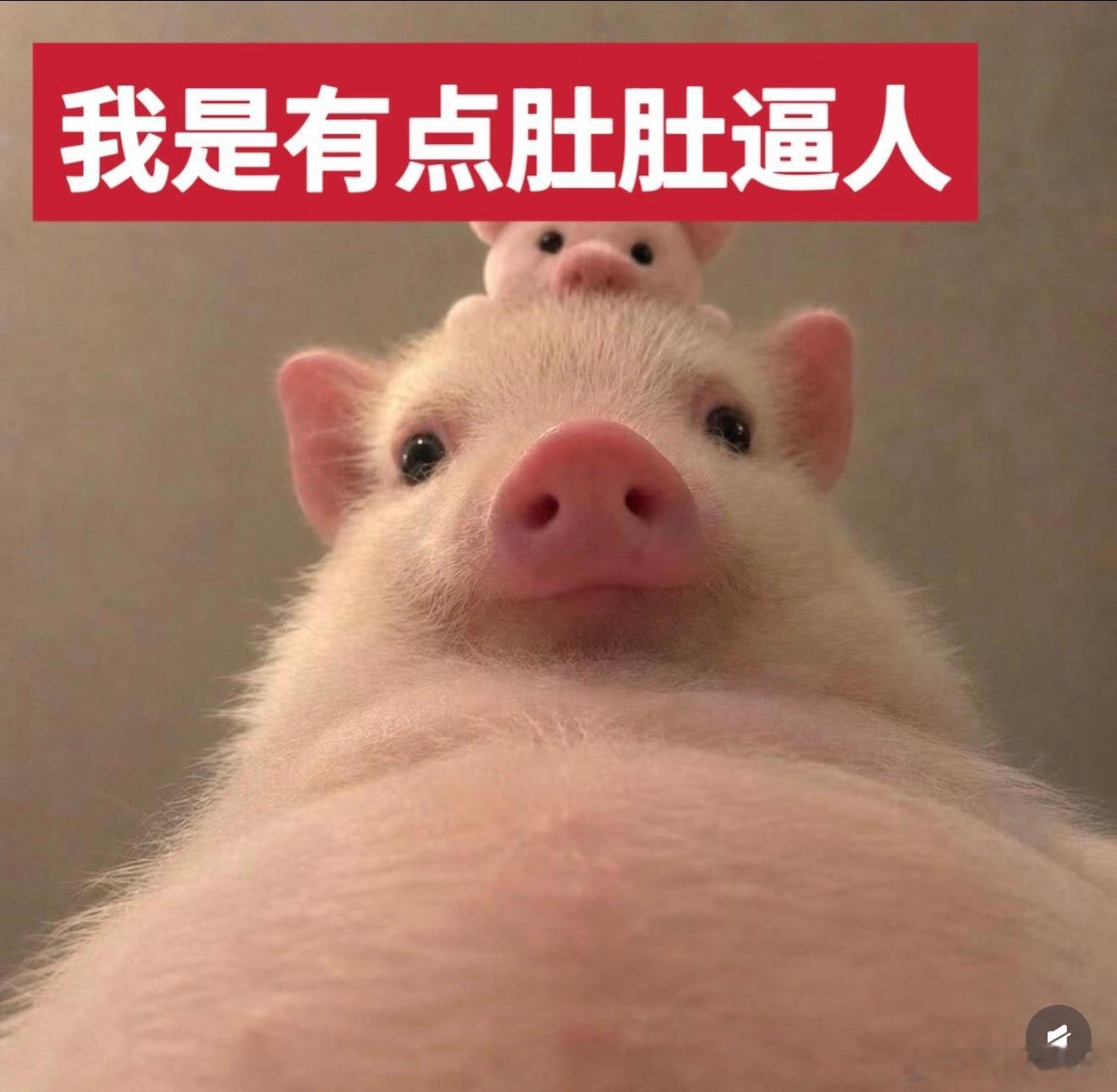看到cap吃饭突然想起人五，但人五是那种潜力很大善于突破自我的人。其实人五每次吃