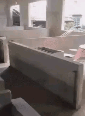 这种餐厅，得专业养猪的来做厨师才行[灵光一闪]
