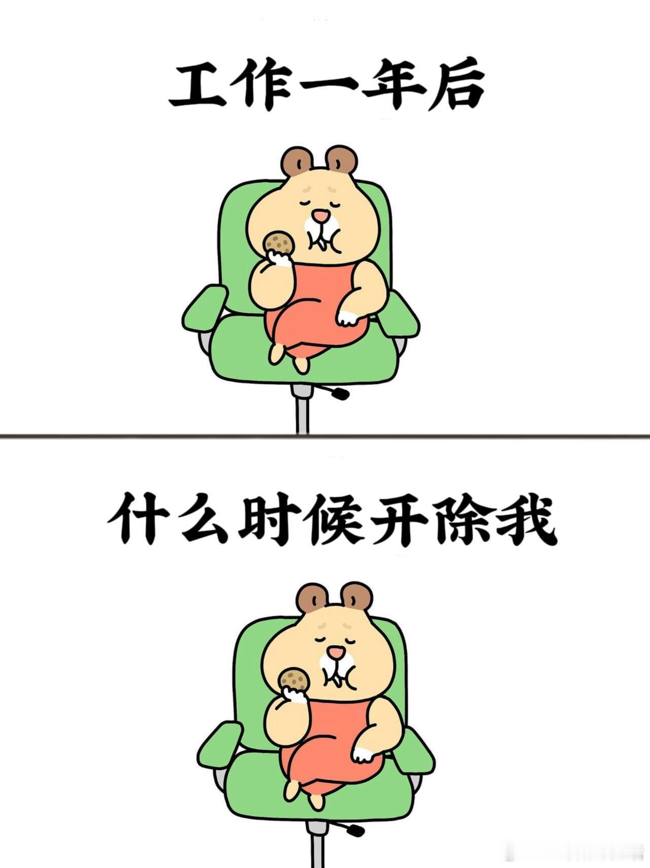 打工人一年前 VS 一年后 ​​​