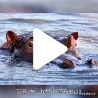 【戴占军】画中话【史诗级河马】拍摄于火山盆地咸淡湖畔  网页链接  （使用App