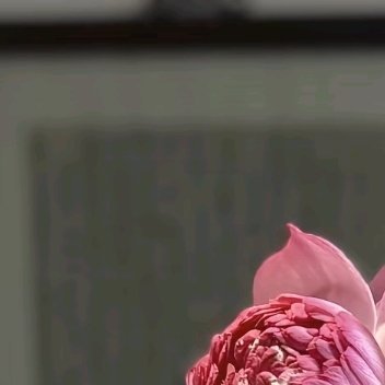 去经历，去热爱，去把澎湃的理想写满山川。揽清风作伴，携明月航海，栽于诗里的鲜花，