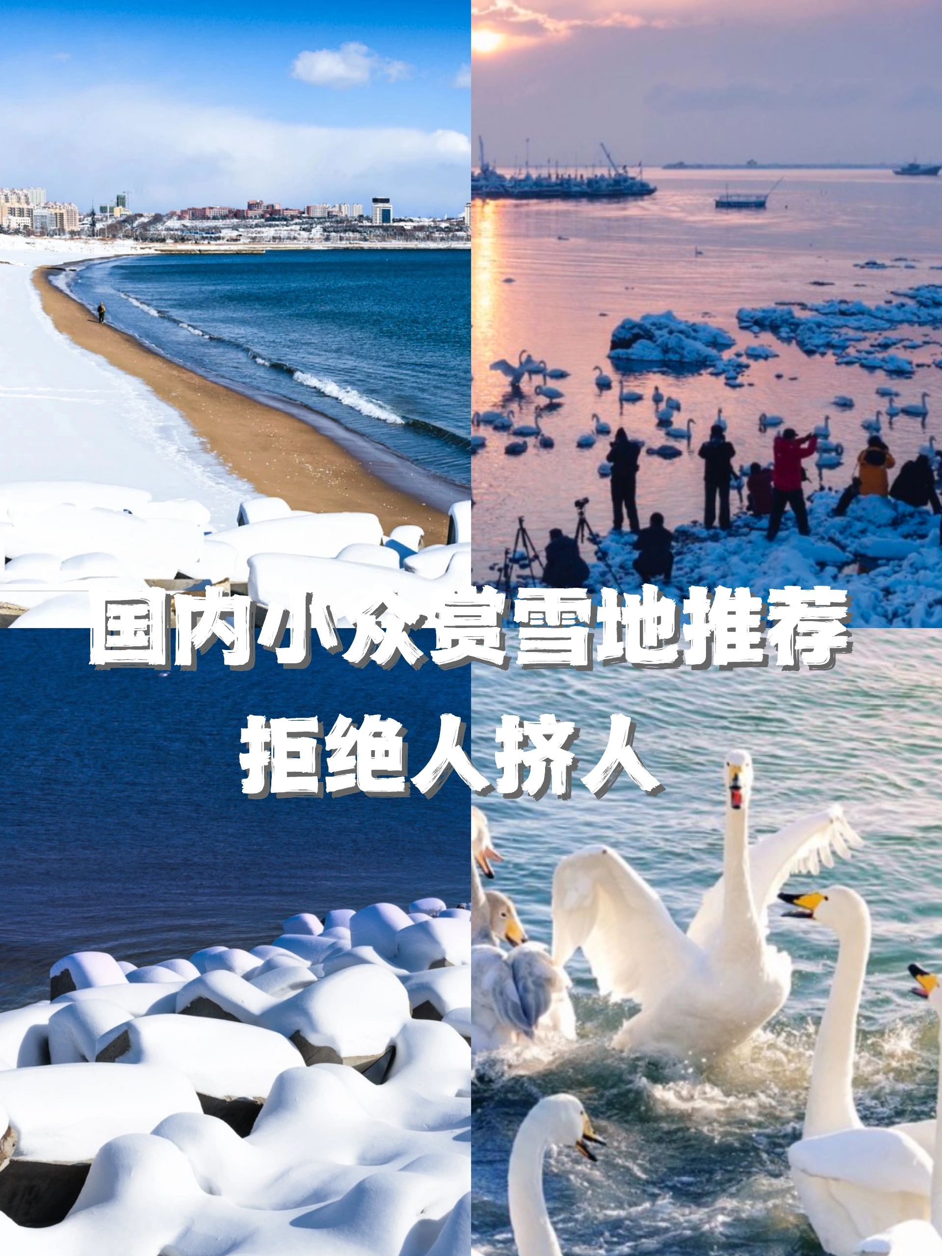 山东威海！国内唯一雪与海并存的城市