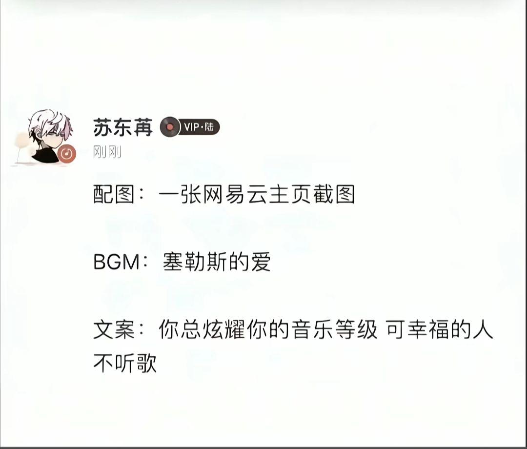 你总炫耀你的音乐等级  可是幸福的人不听歌