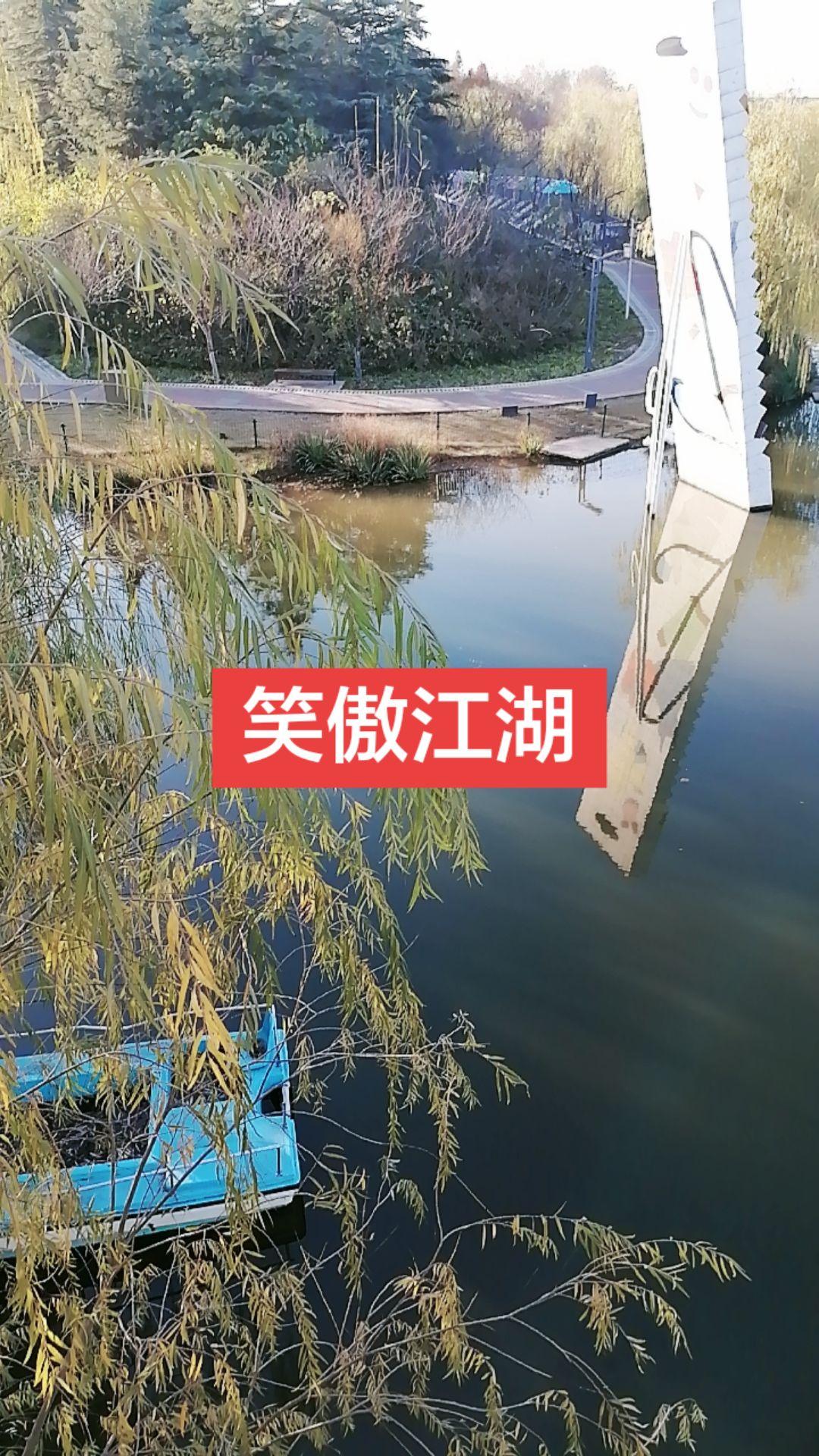 河边随拍 冬日生活打卡季