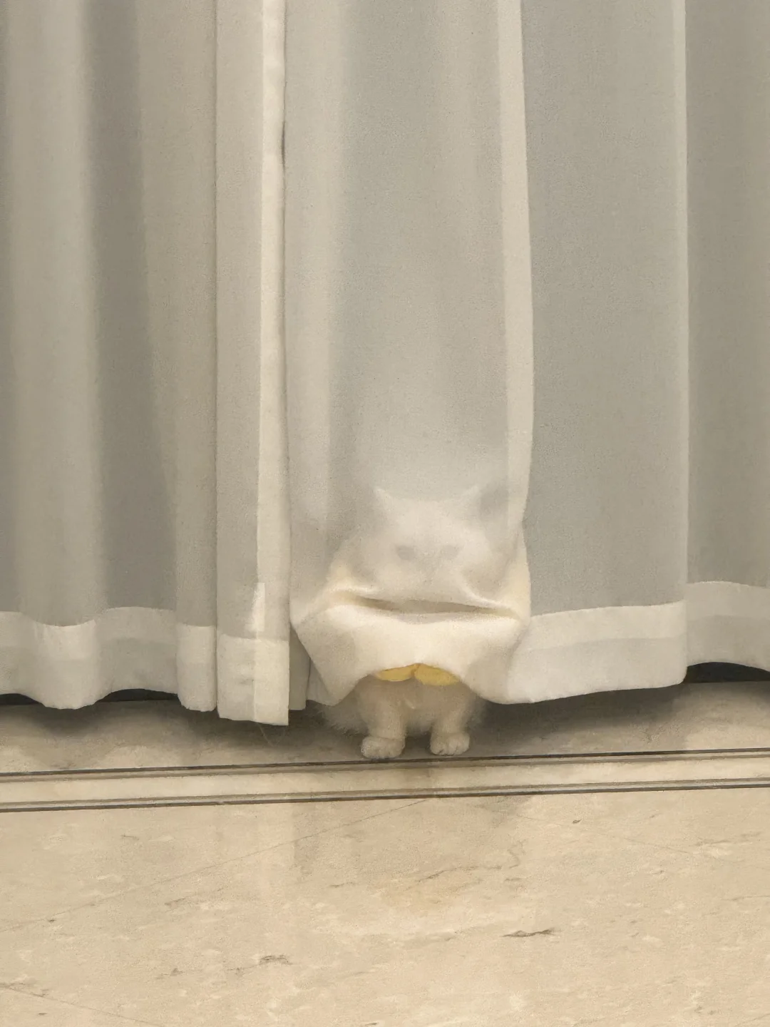 只有聪明的人才能看到我