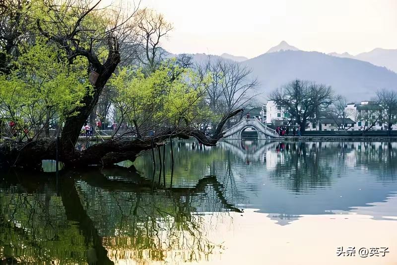 清江引·春日
垂杨映桥风袅袅，
红絮春将老。
细雨伴斜阳，
客意愁难了。
莺声唤