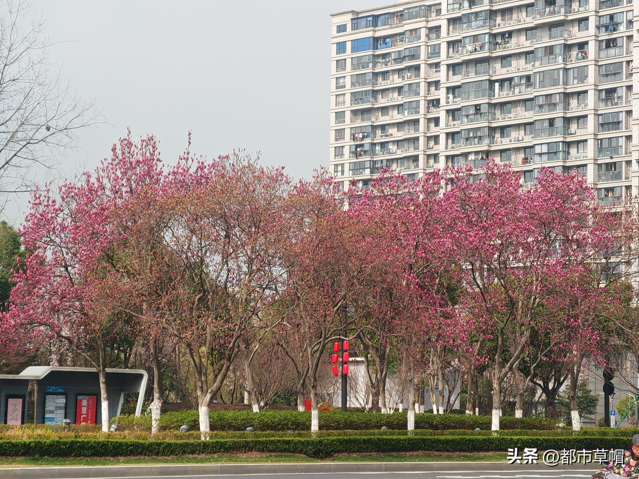 同事为了孩子将来有一个工作，就花钱给孩子买了个黄冈师专委培生名额，想着孩子毕业后