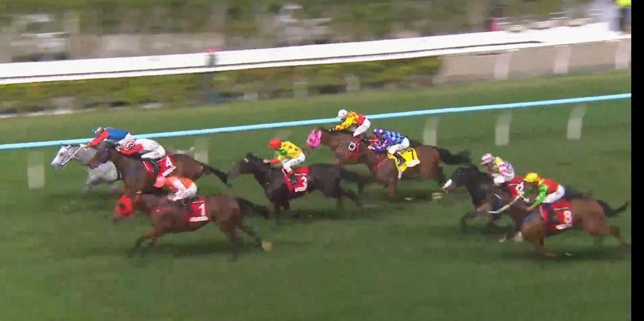 赛马之引人入胜在于赛果的变幻莫测，当然够运兼众人皆醉我独醒命中冷马得到可观派彩最